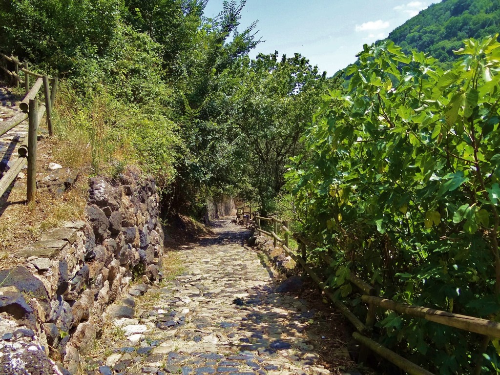 Foto: Carrer de la Font - Castellfollit de la Roca (Girona), España