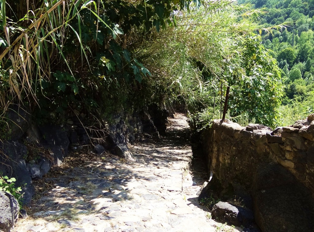 Foto: Carrer de la Font - Castellfollit de la Roca (Girona), España