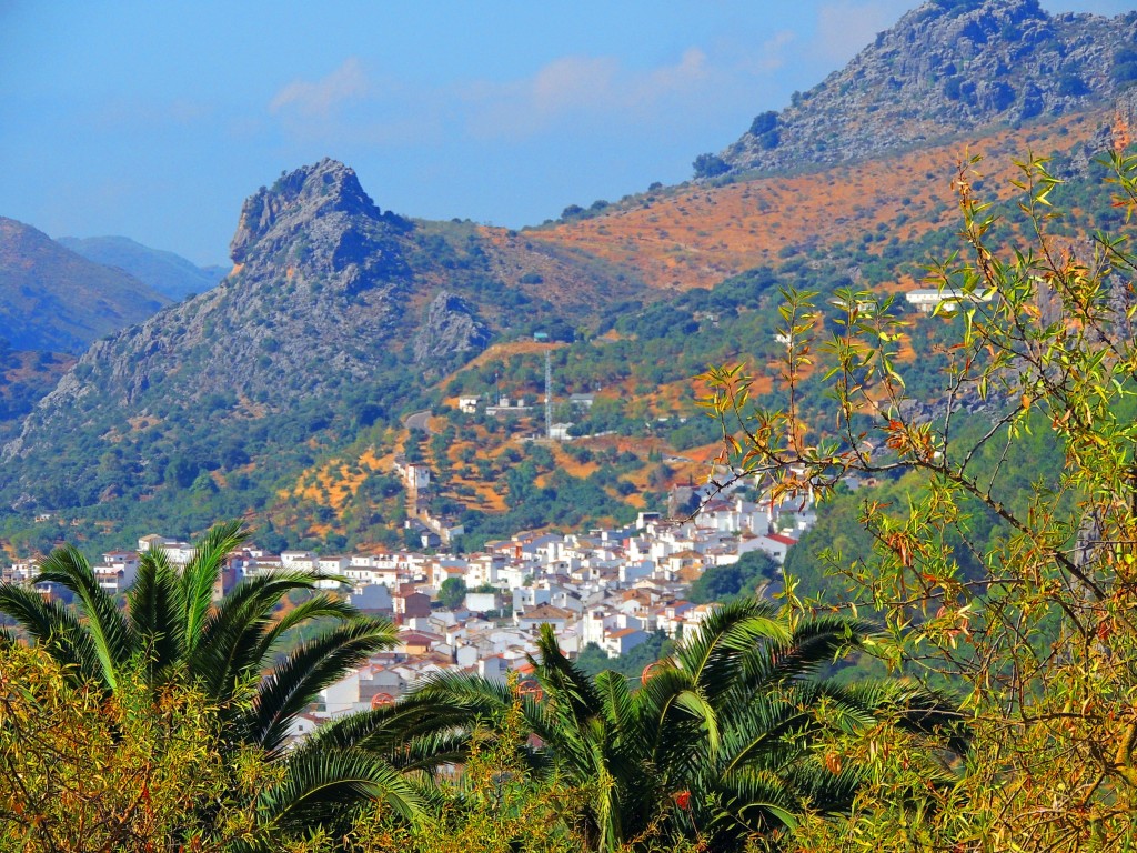 Foto de Benaoján (Málaga), España