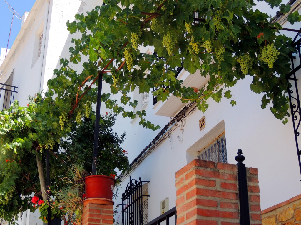 Foto de Igualeja (Málaga), España