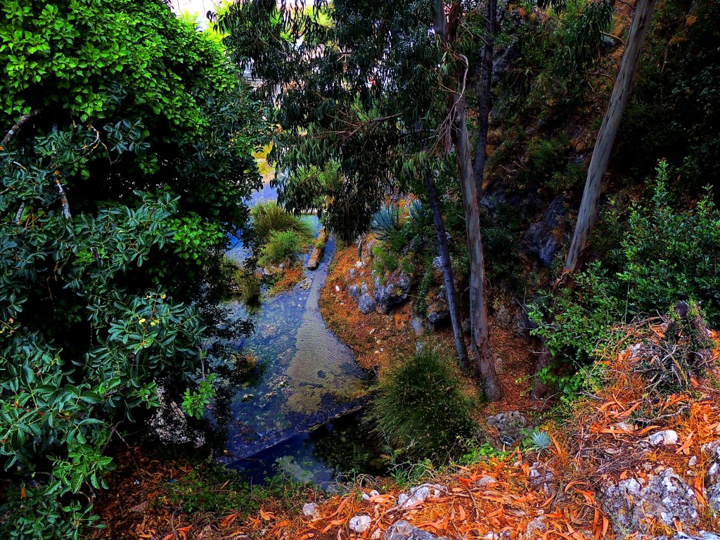 Foto de Igualeja (Málaga), España