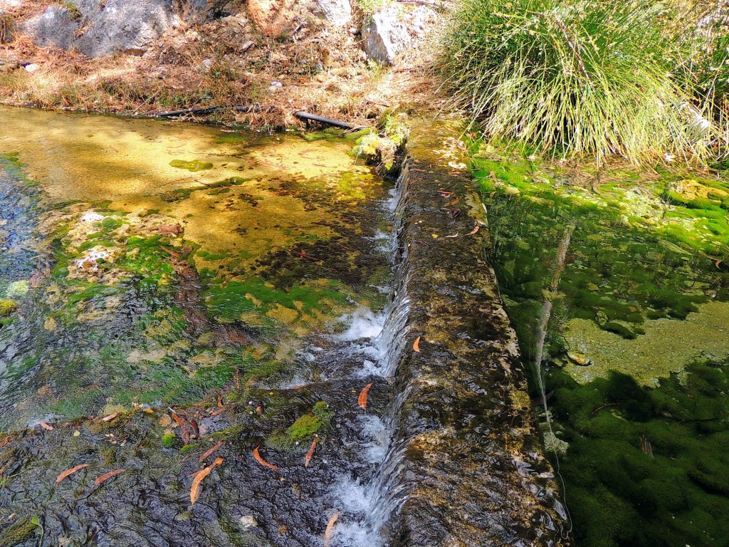 Foto de Igualeja (Málaga), España
