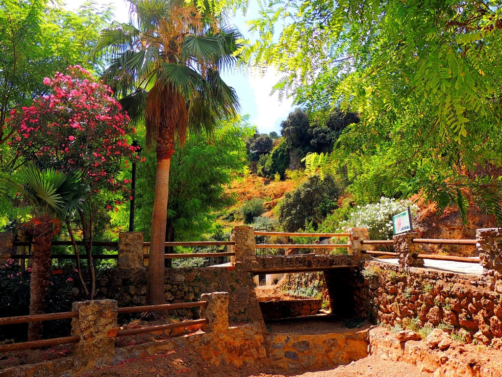 Foto de Igualeja (Málaga), España