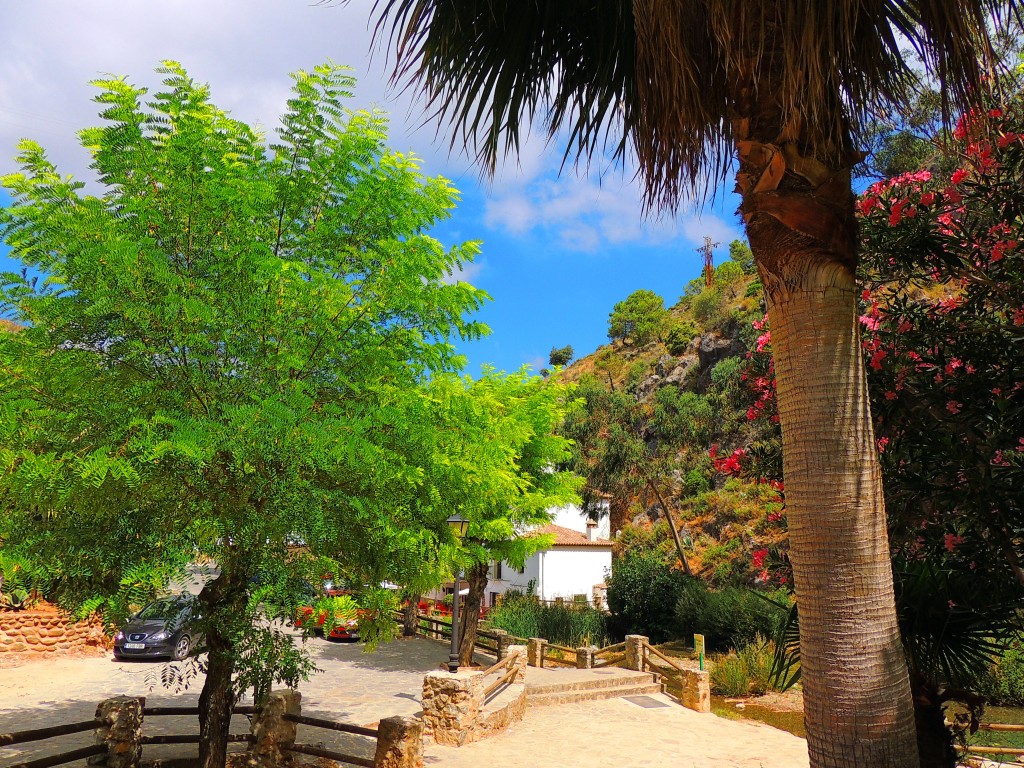 Foto de Igualeja (Málaga), España