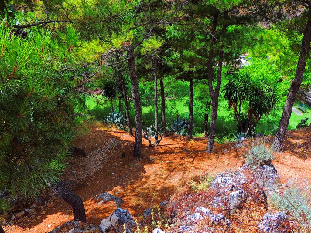 Foto de Igualeja (Málaga), España