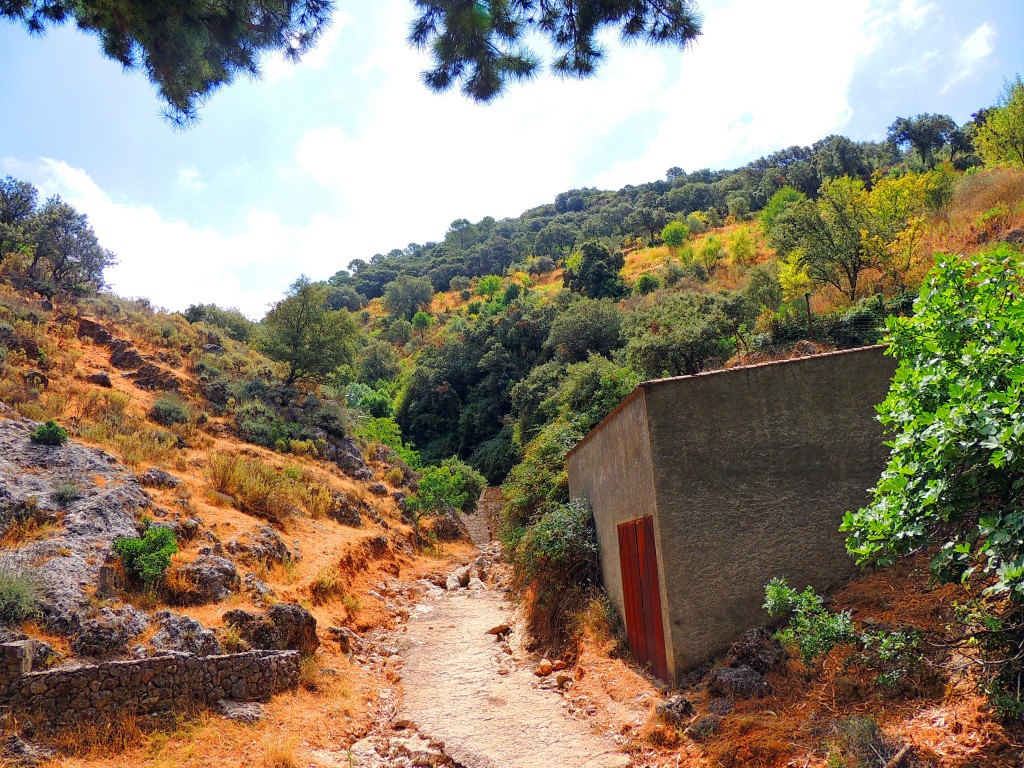 Foto de Igualeja (Málaga), España