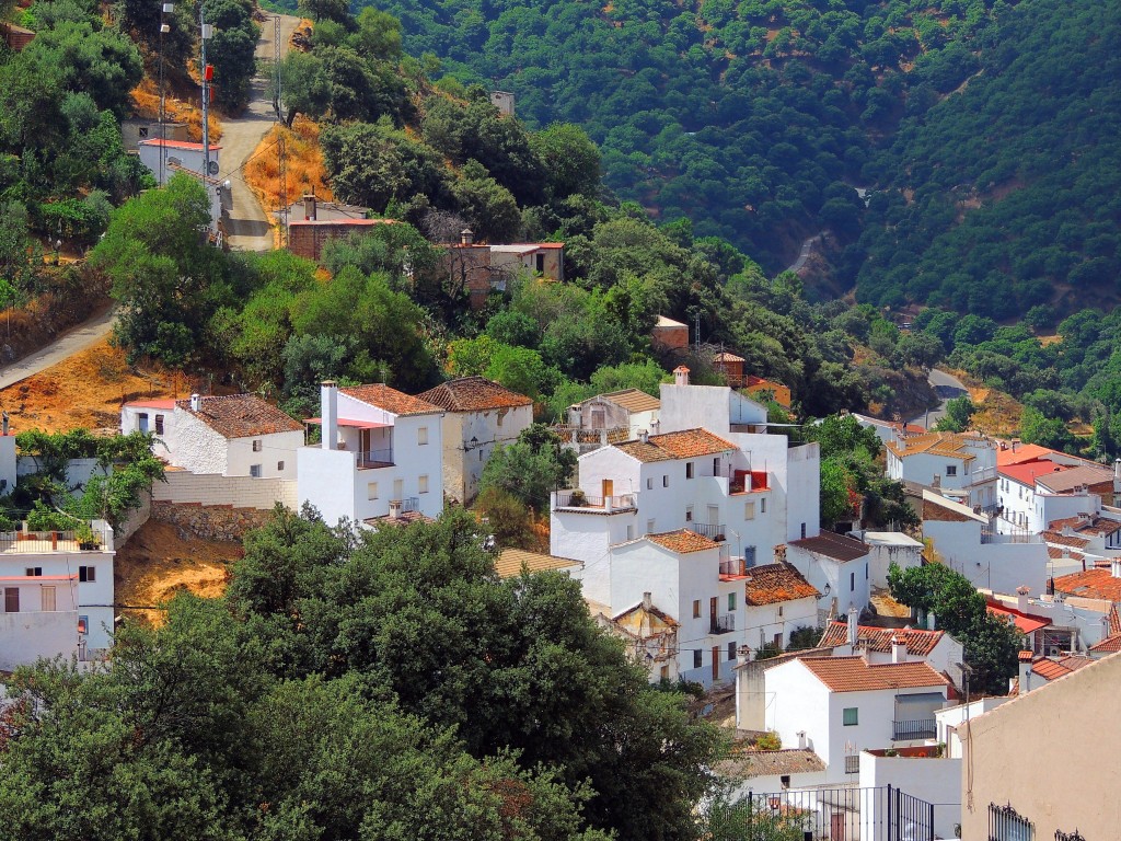 Foto de Igualeja (Málaga), España