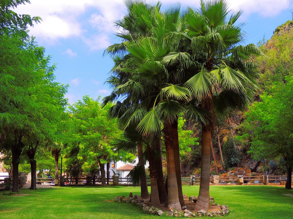 Foto de Igualeja (Málaga), España