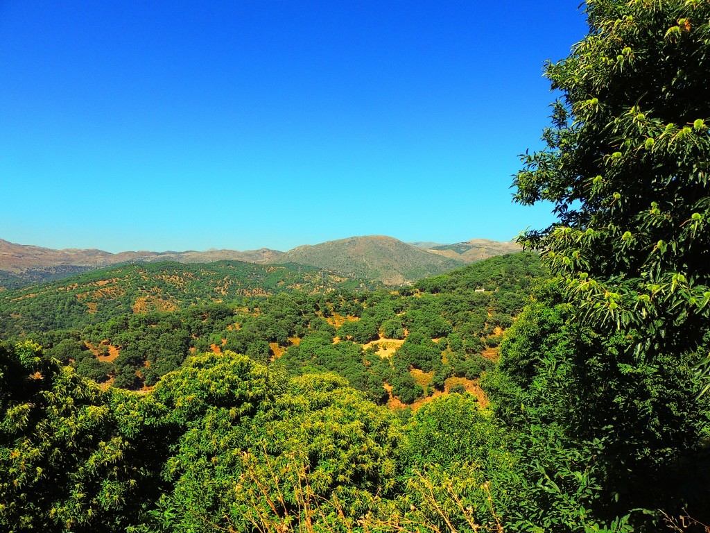 Foto de Pujerra (Málaga), España