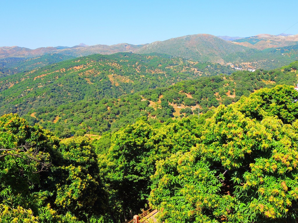 Foto de Pujerra (Málaga), España
