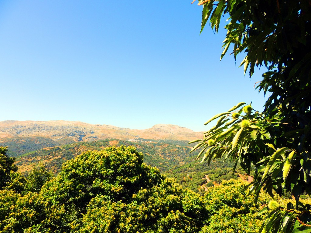 Foto de Pujerra (Málaga), España