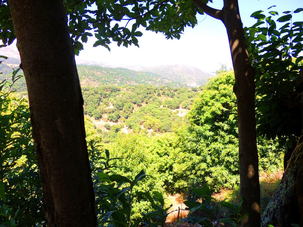 Foto de Pujerra (Málaga), España