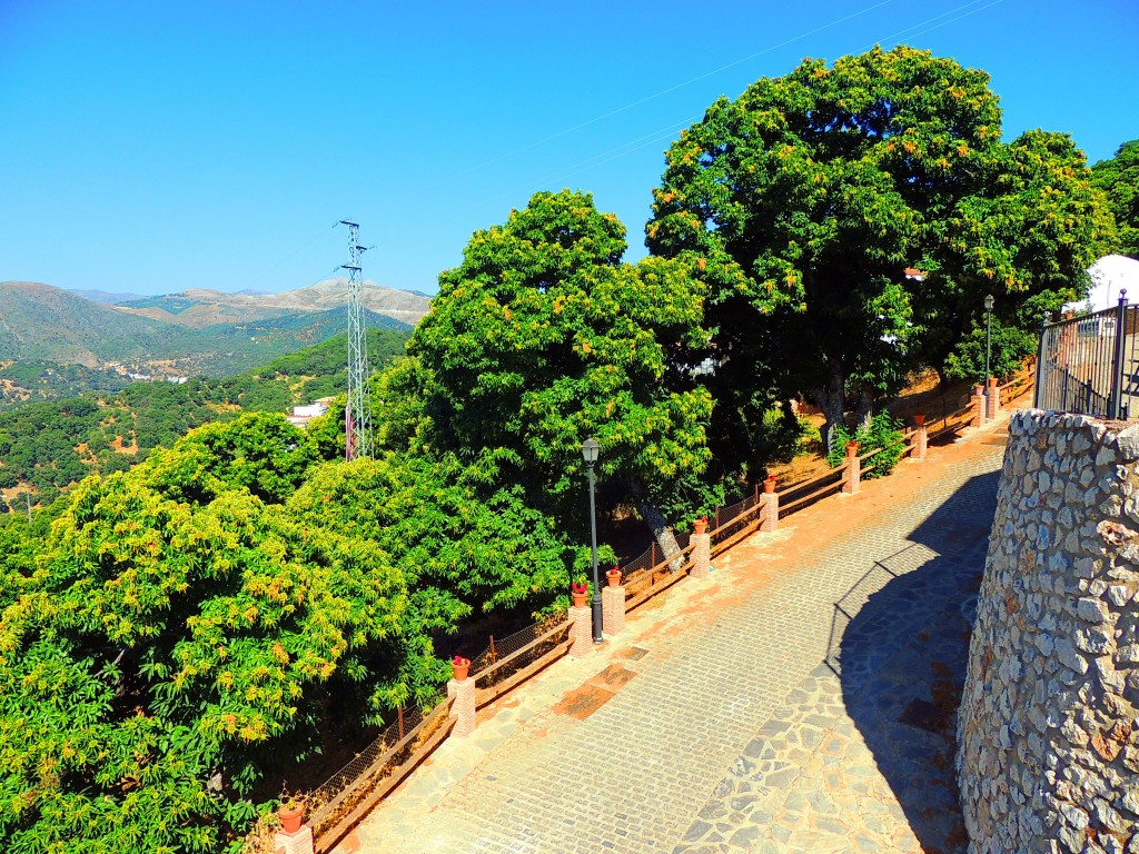 Foto de Pujerra (Málaga), España
