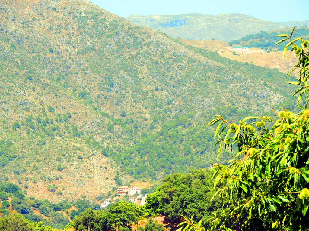 Foto de Pujerra (Málaga), España