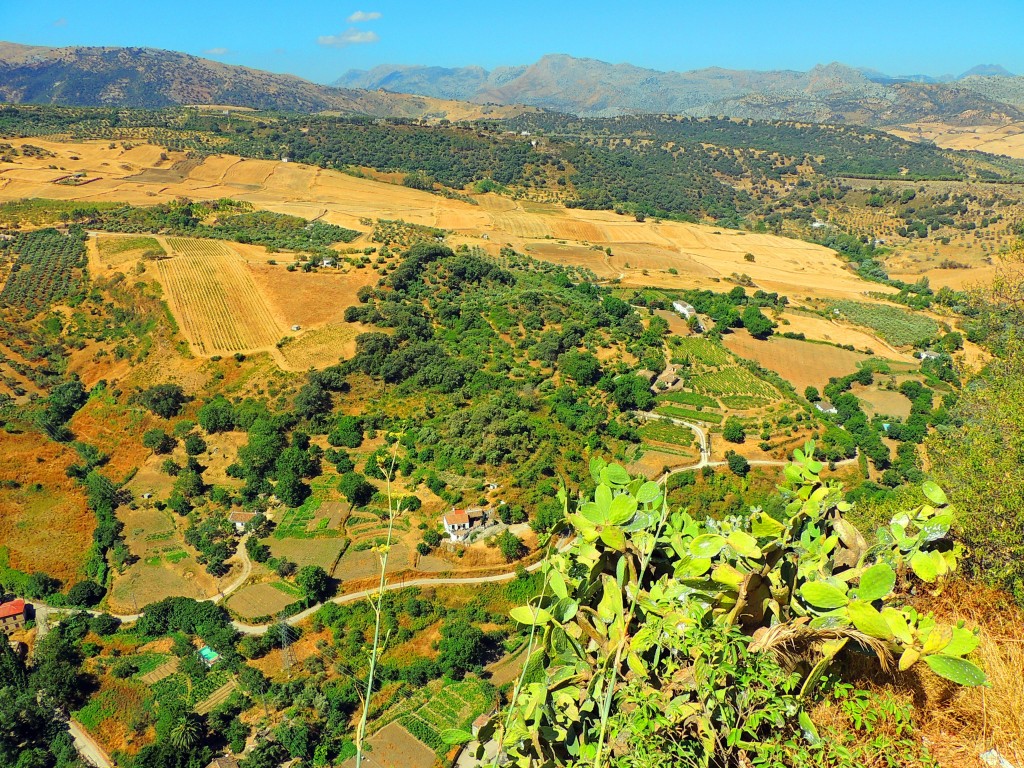 Foto de Ronda (Málaga), España