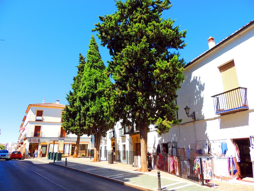 Foto de Ronda (Málaga), España