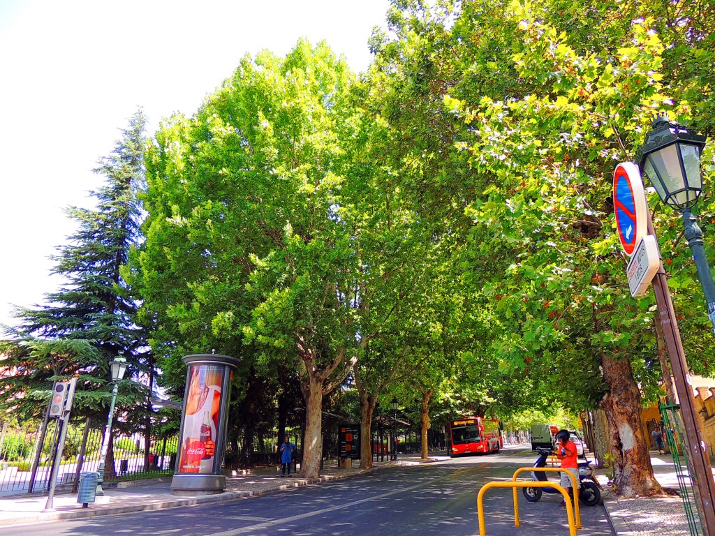 Foto de Granada (Andalucía), España
