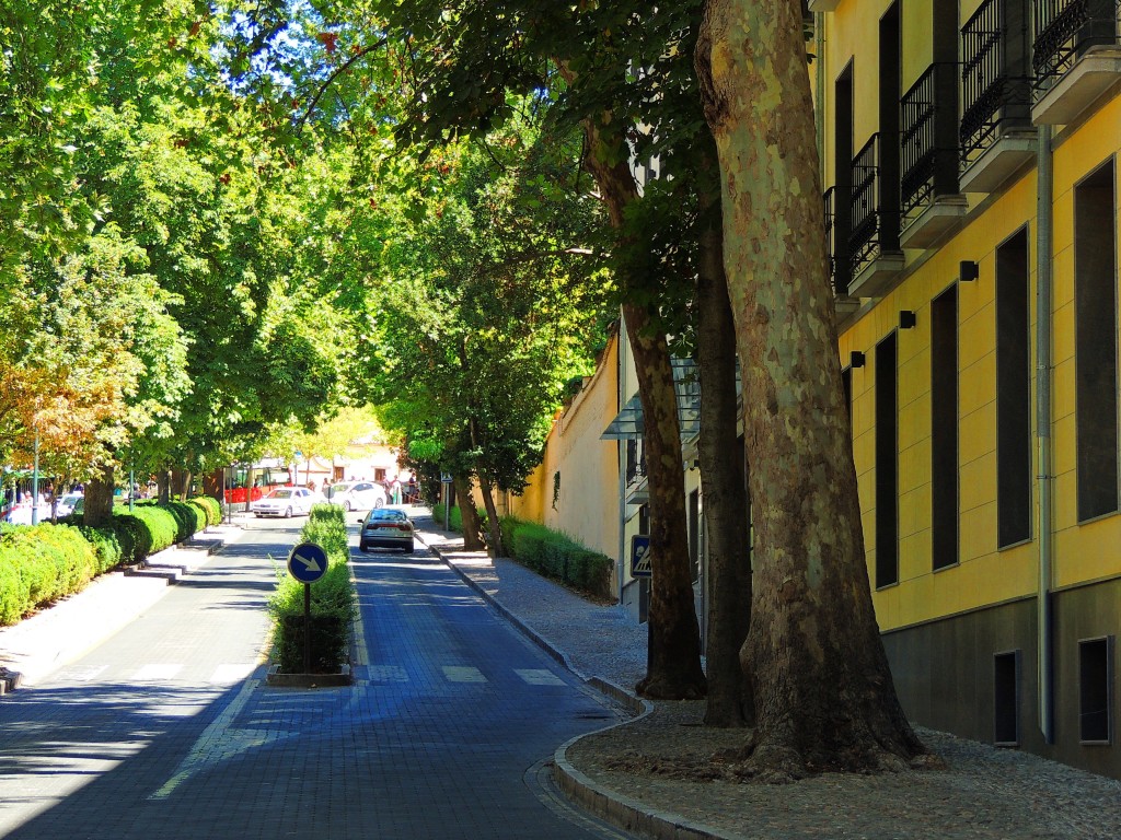 Foto de Granada (Andalucía), España