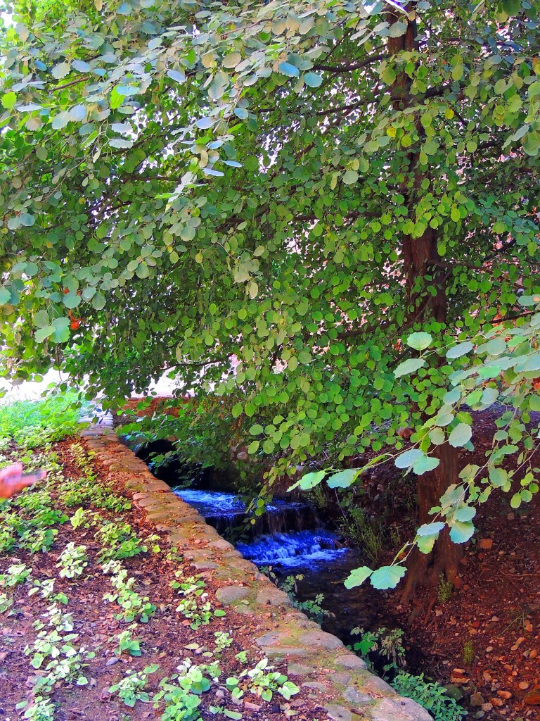 Foto de Granada (Andalucía), España