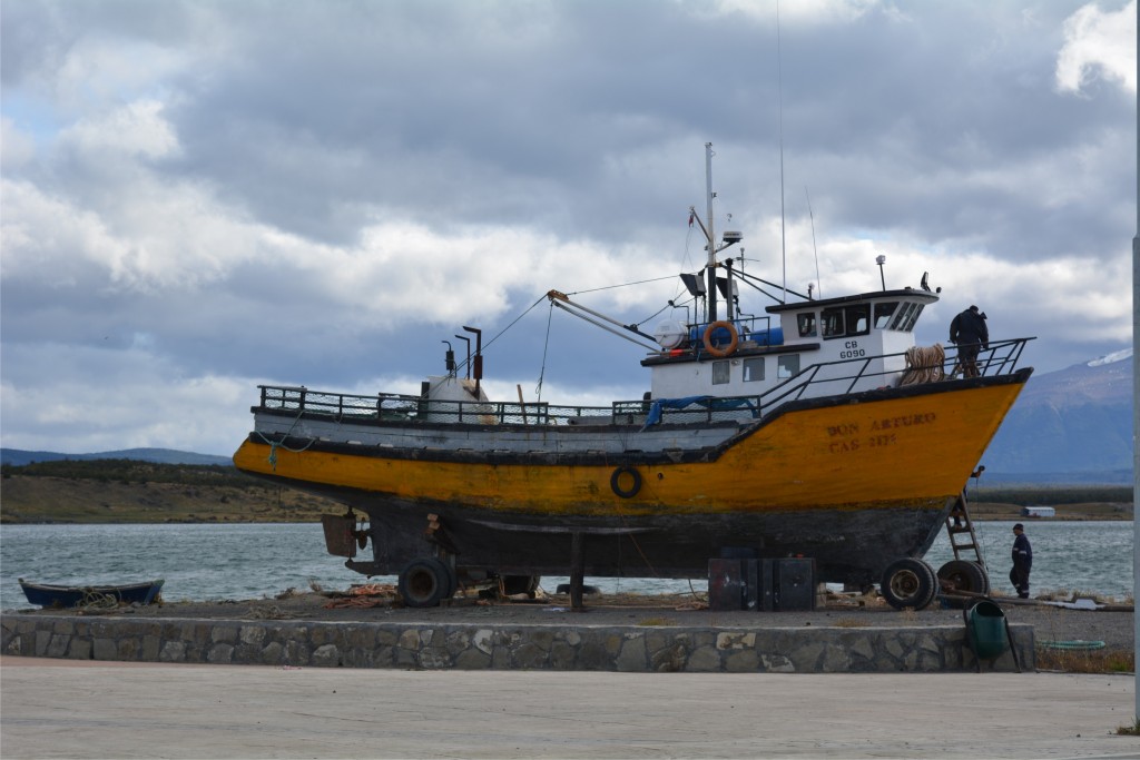 Foto de Puerto Natales (Magallanes y Antártica Chilena), Chile