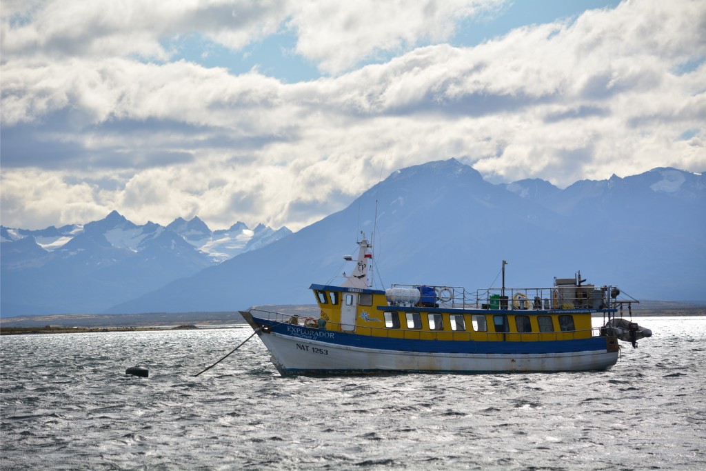 Foto de Puerto Natales (Magallanes y Antártica Chilena), Chile