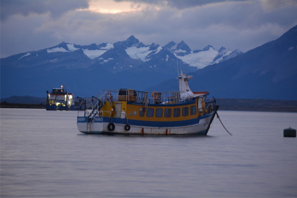 Foto de Puerto Natales (Magallanes y Antártica Chilena), Chile