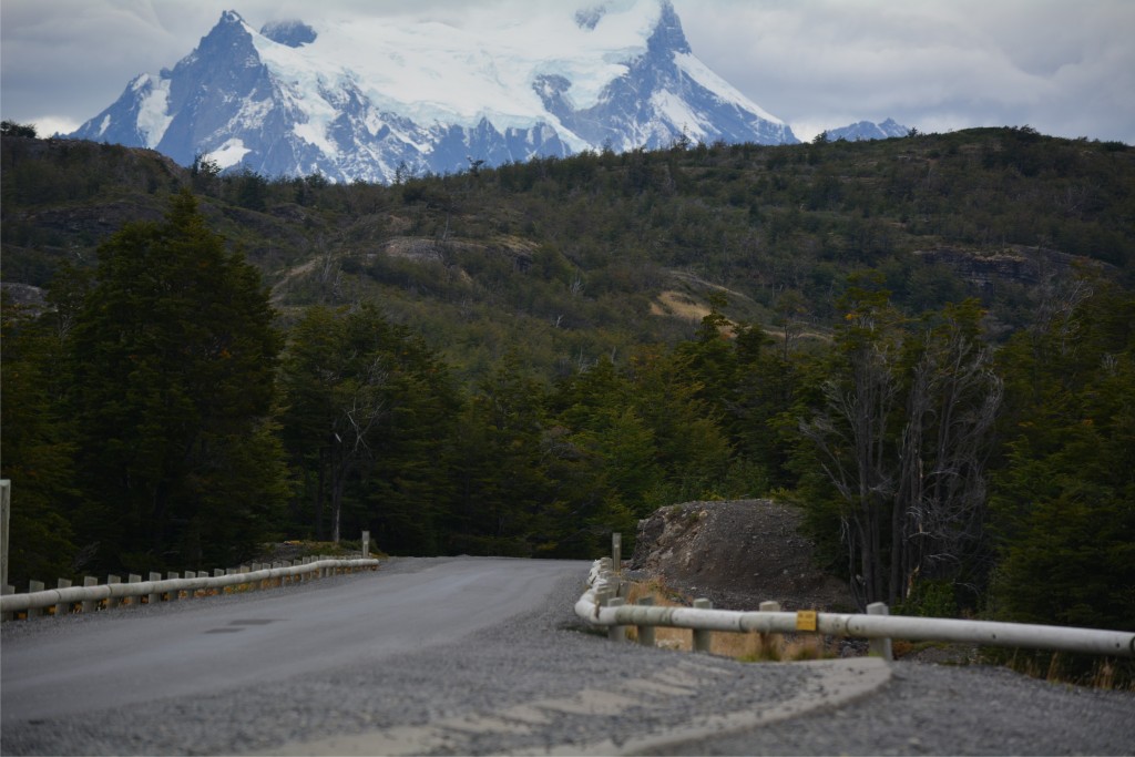Foto de Puerto Natales (Magallanes y Antártica Chilena), Chile