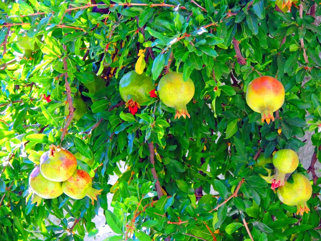 Foto de Montefrío (Granada), España