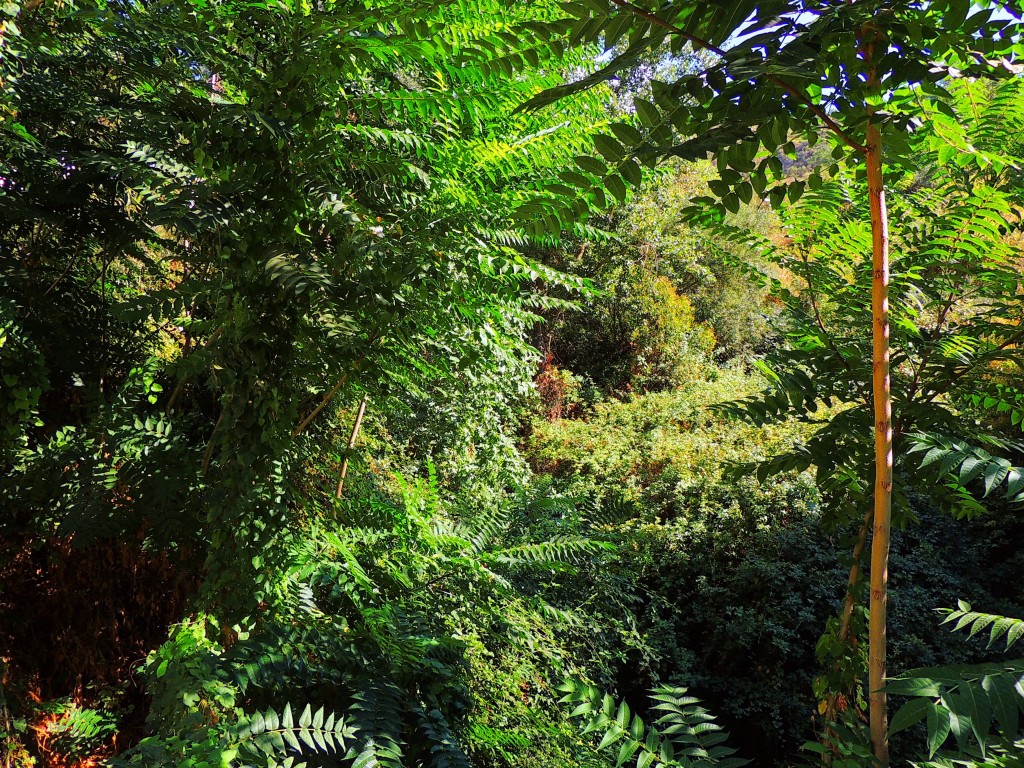 Foto de Montefrío (Granada), España