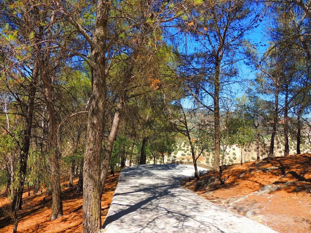 Foto de Montefrío (Granada), España