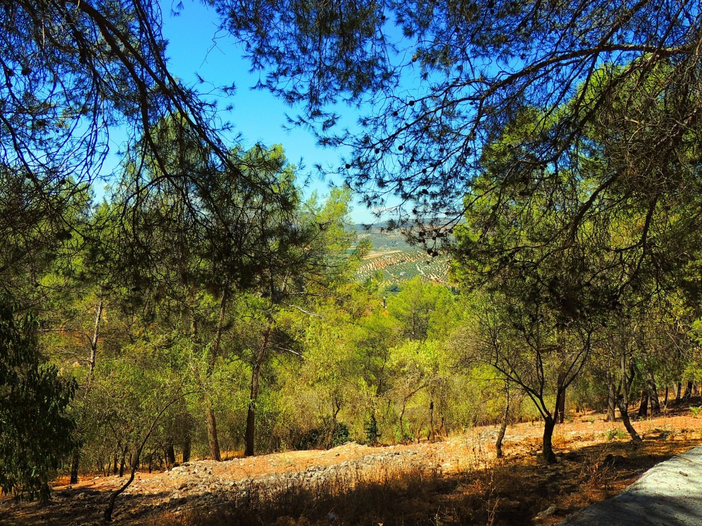 Foto de Montefrío (Granada), España