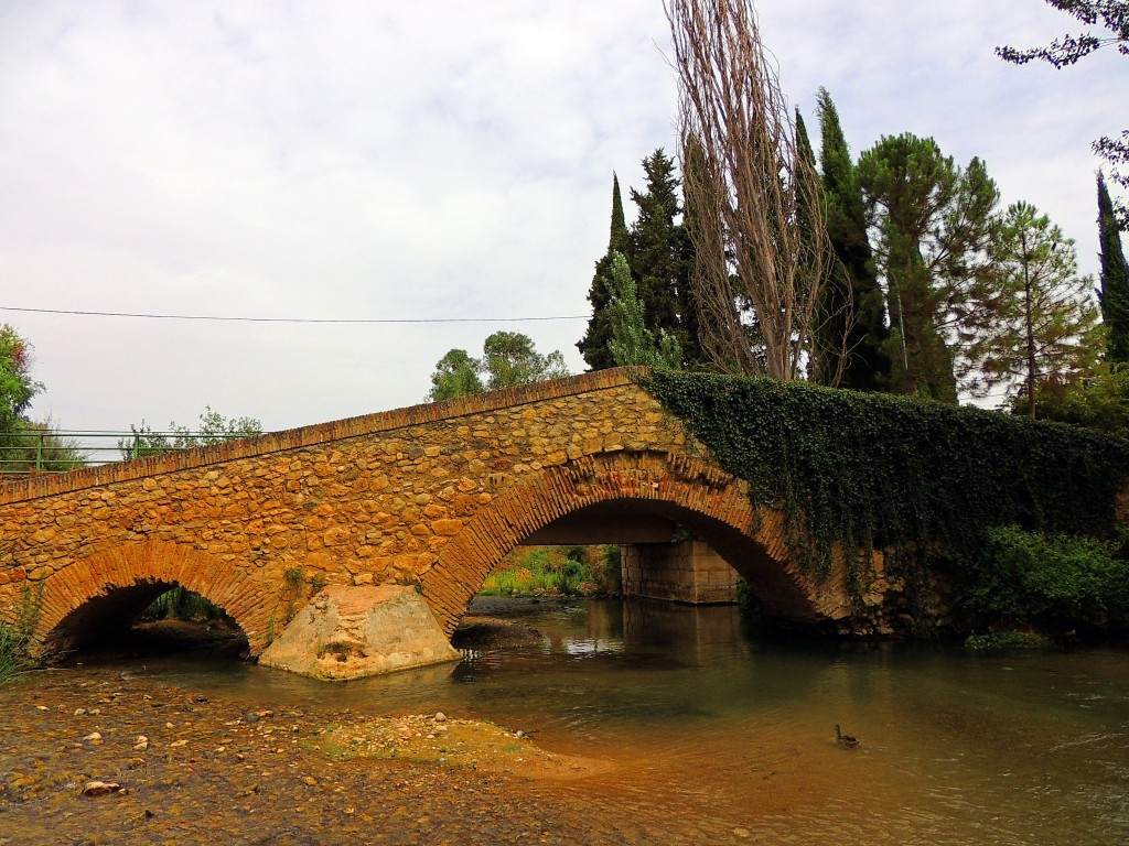 Foto de Riofrío (Granada), España