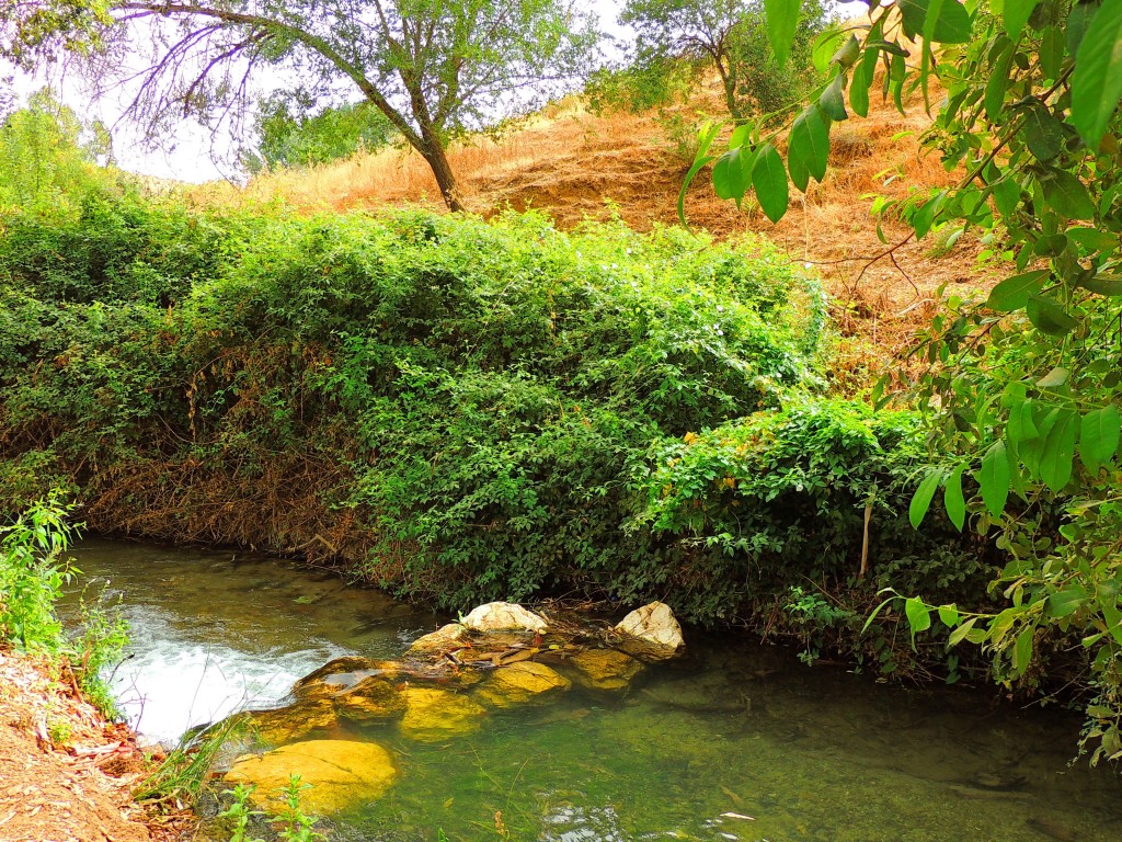 Foto de Riofrío (Granada), España