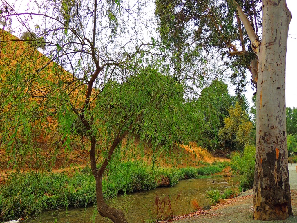 Foto de Riofrío (Granada), España