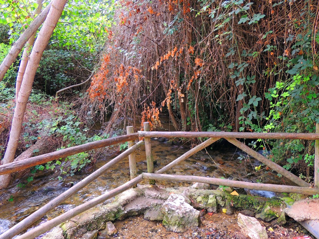 Foto de Riofrio (Granada), España