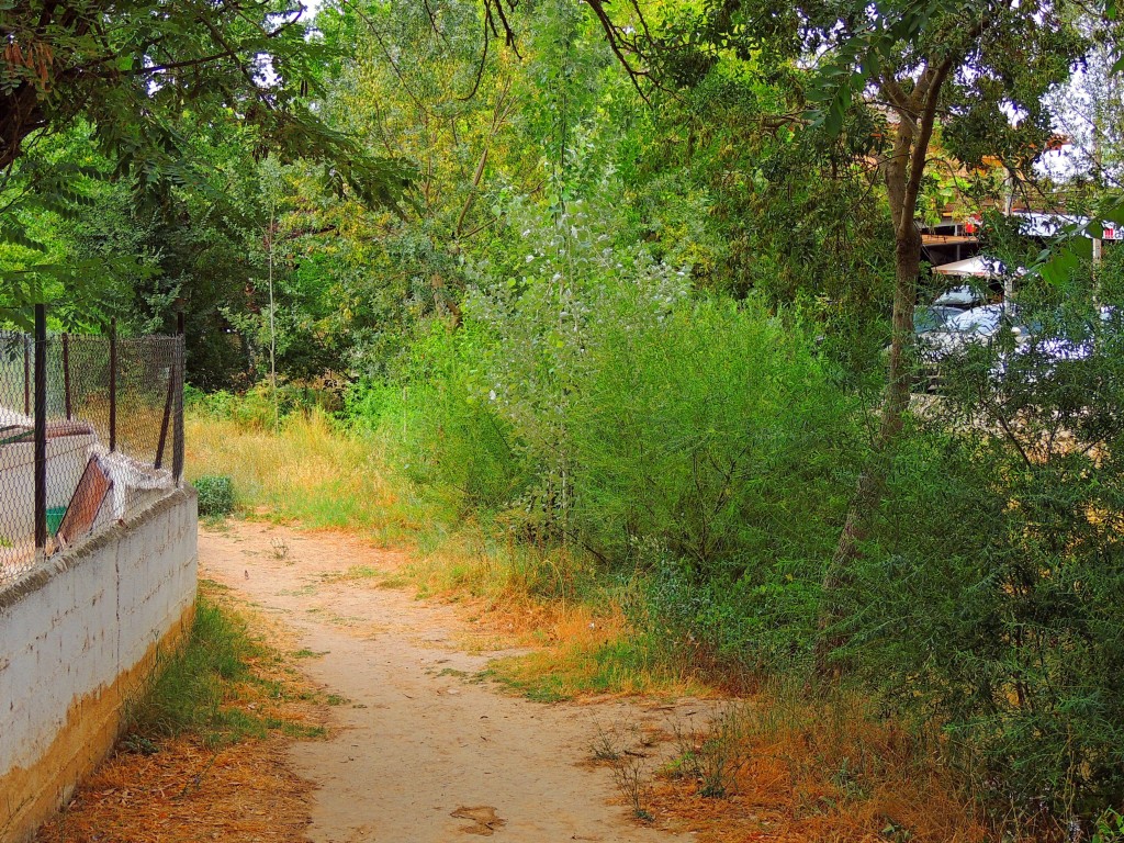 Foto de Riofrio (Granada), España