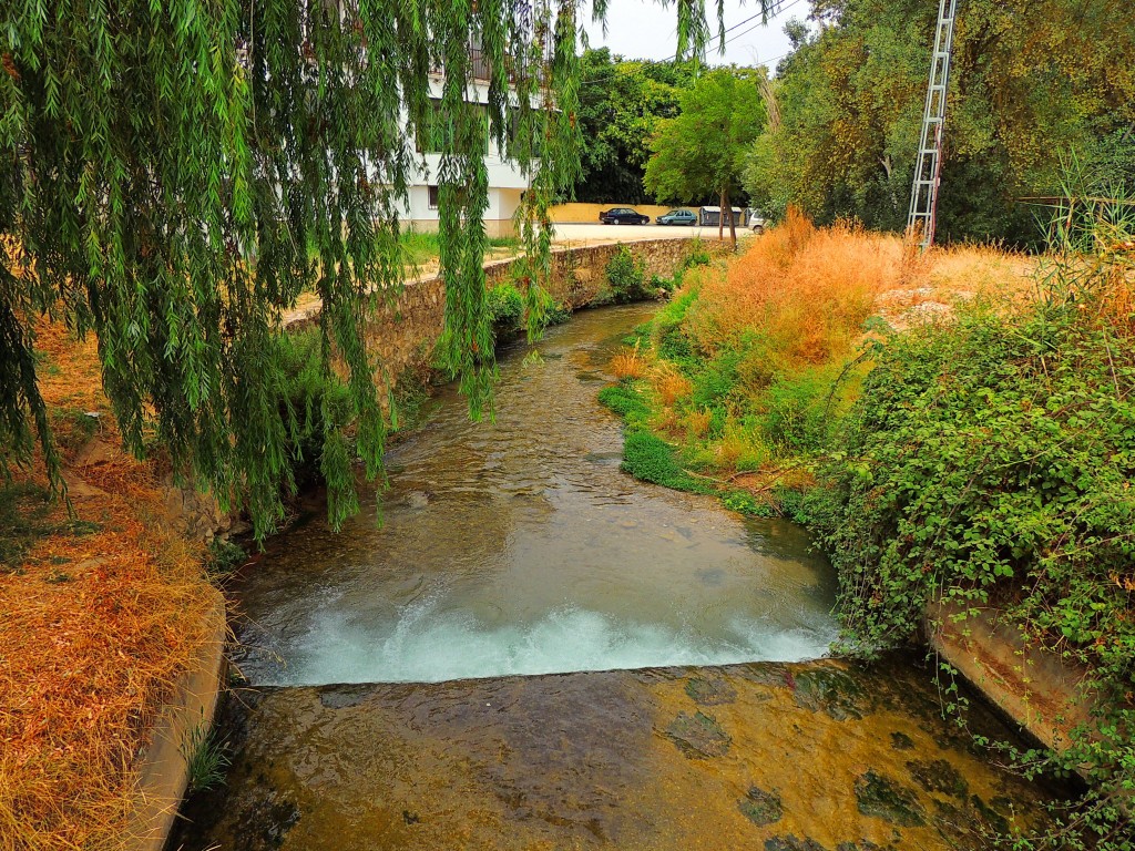 Foto de Riofrio (Granada), España