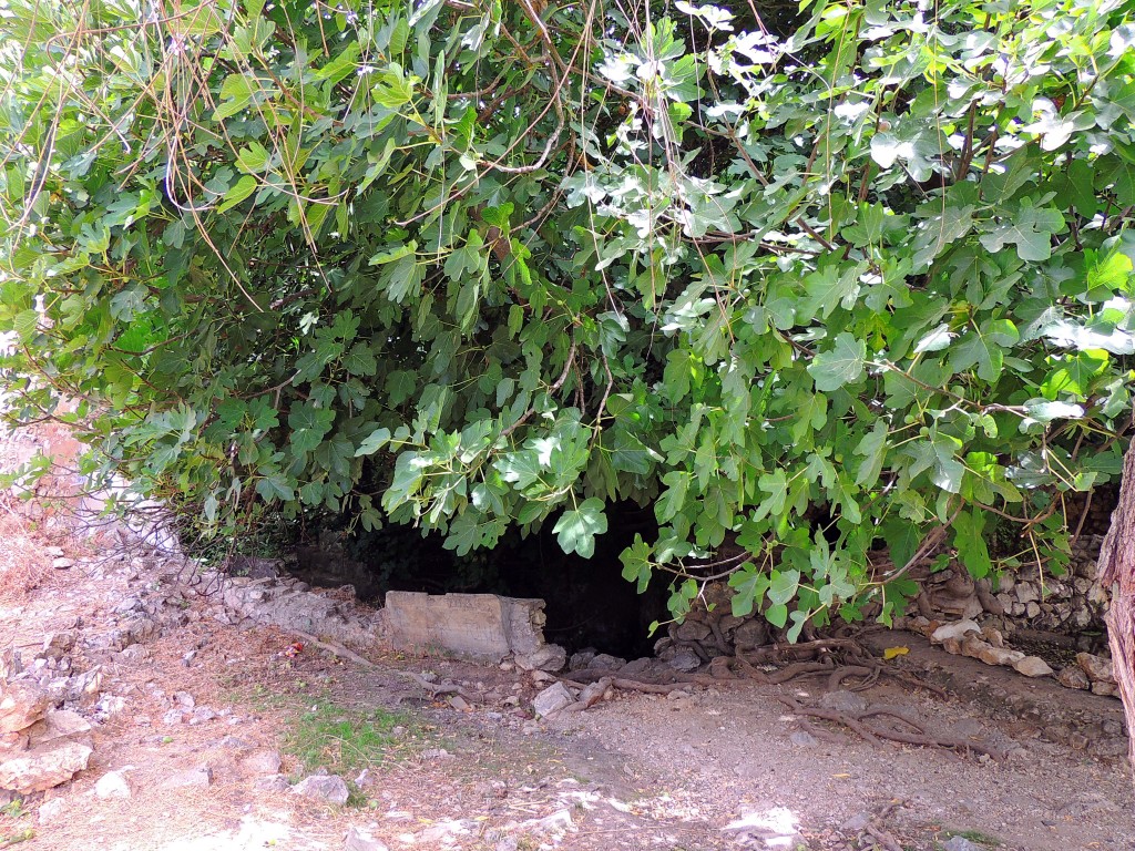 Foto de Riofrio (Granada), España