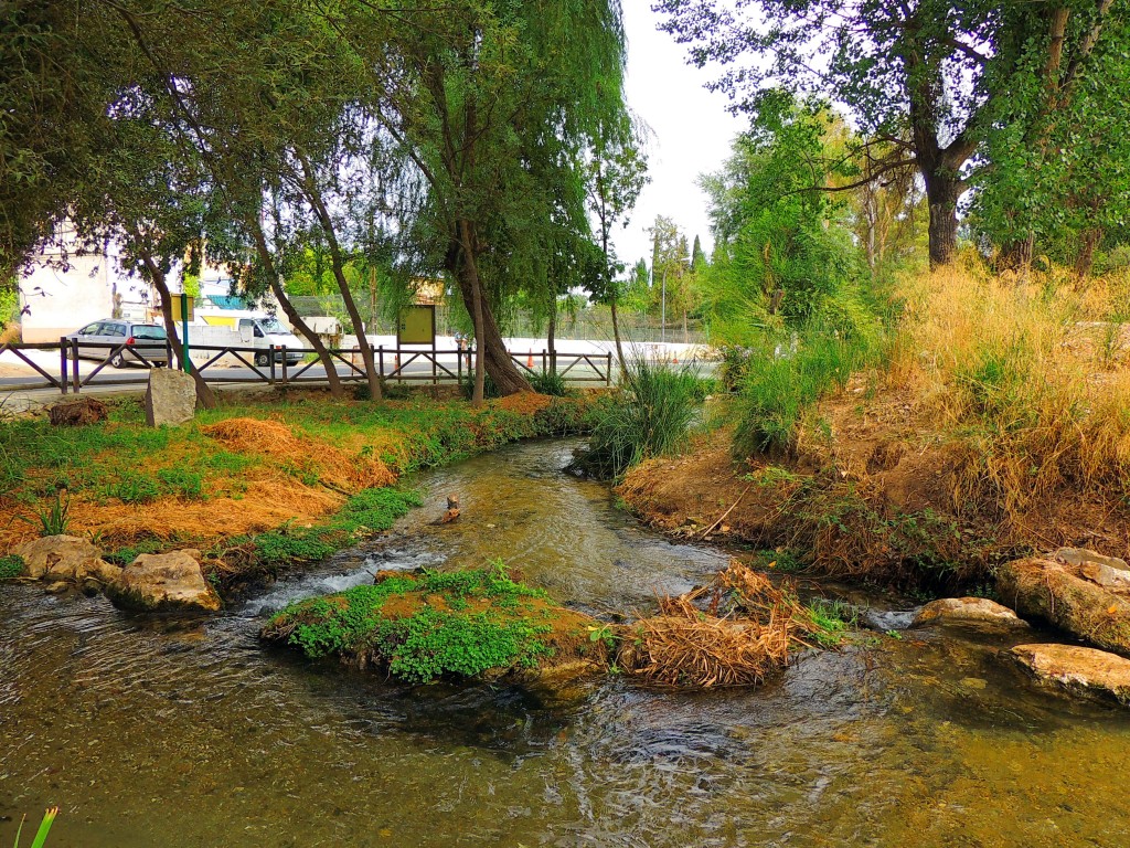 Foto de Riofrio (Granada), España