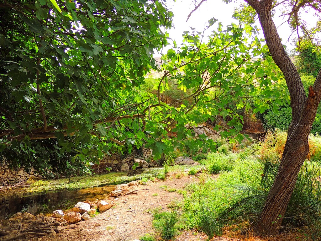 Foto de Riofrio (Granada), España