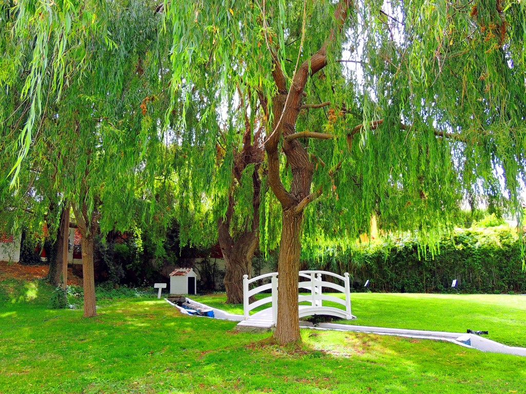 Foto de Riofrio (Granada), España