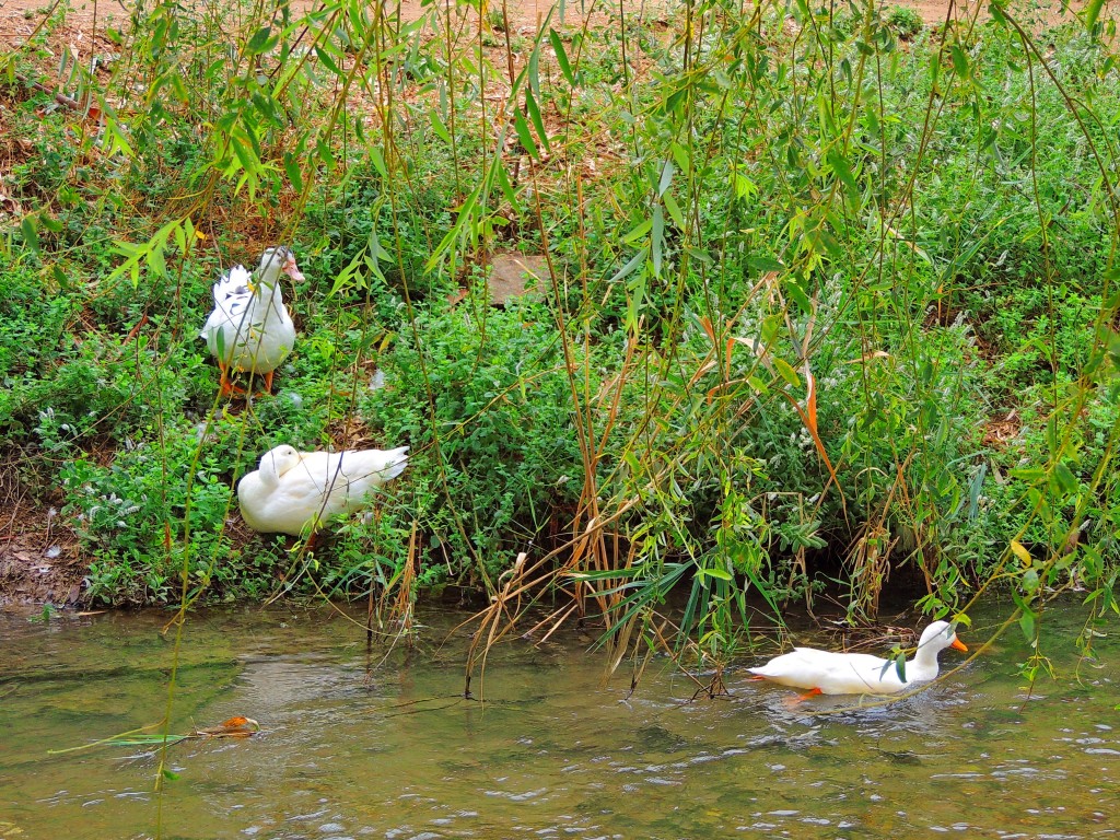 Foto de Riofrío (Granada), España