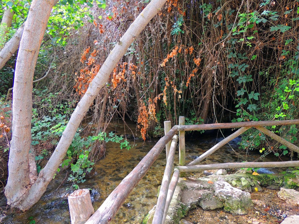 Foto de Riofrio (Granada), España