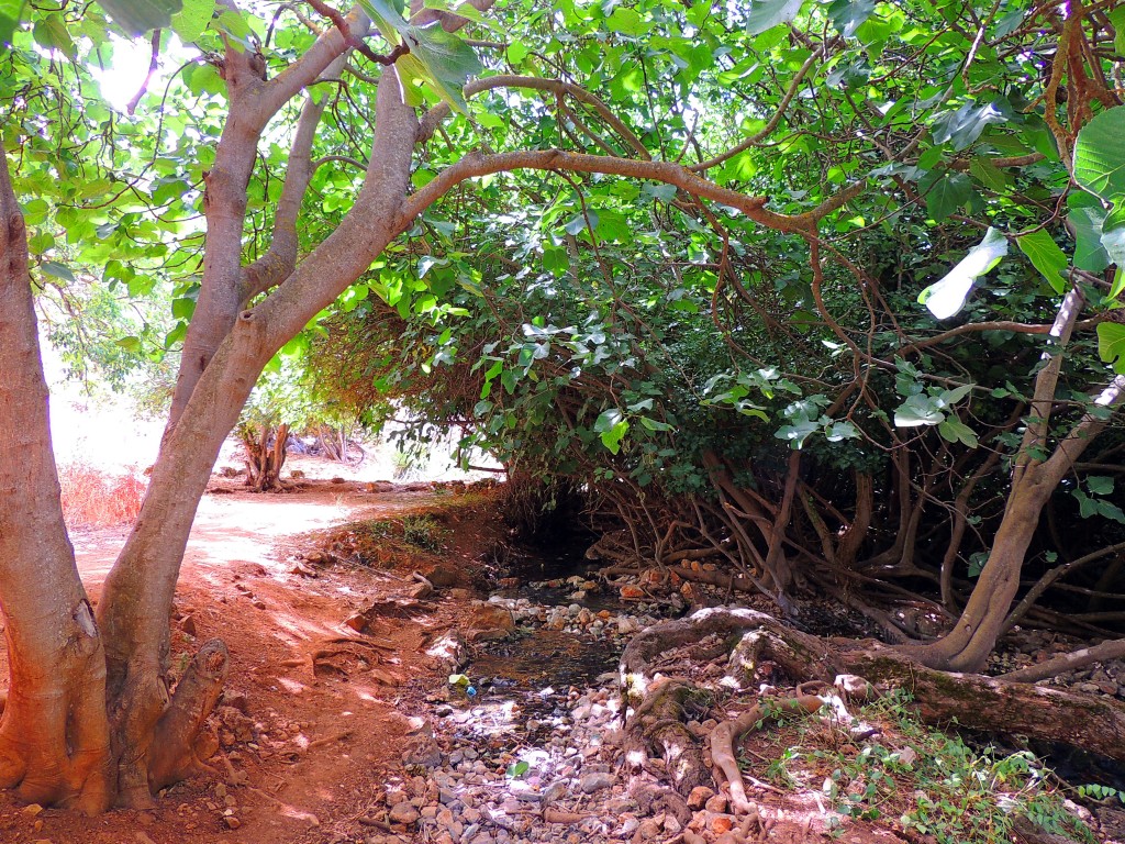 Foto de Riofrio (Granada), España