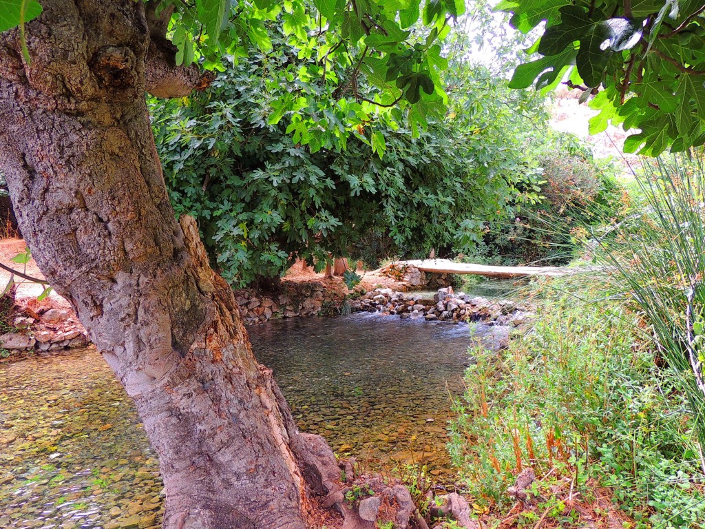 Foto de Riofrio (Granada), España