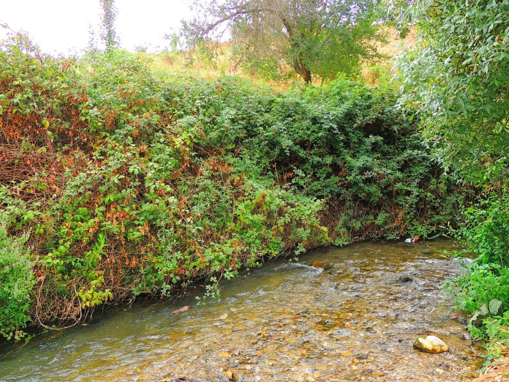 Foto de Riofrío (Granada), España