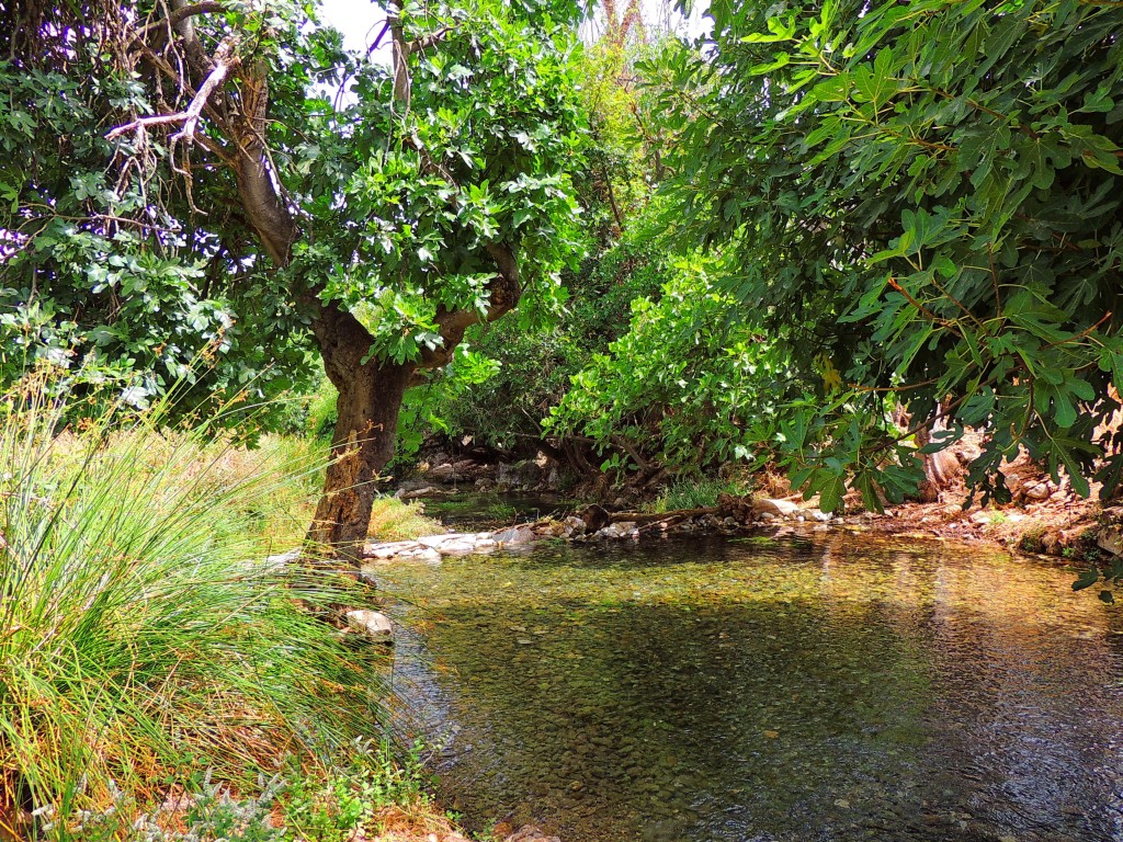 Foto de Riofrio (Granada), España