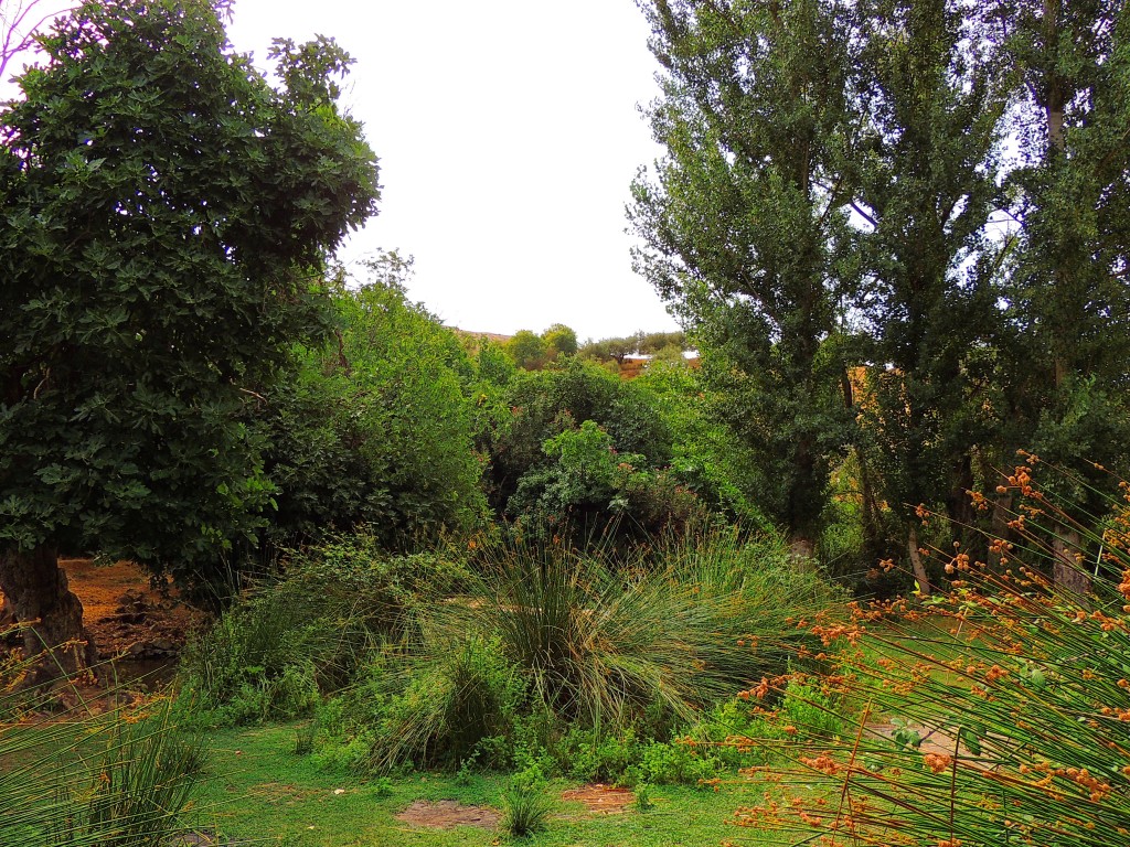 Foto de Riofrio (Granada), España