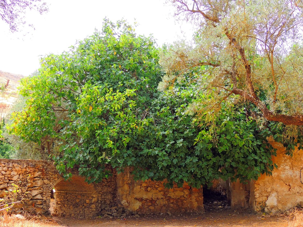 Foto de Riofrio (Granada), España