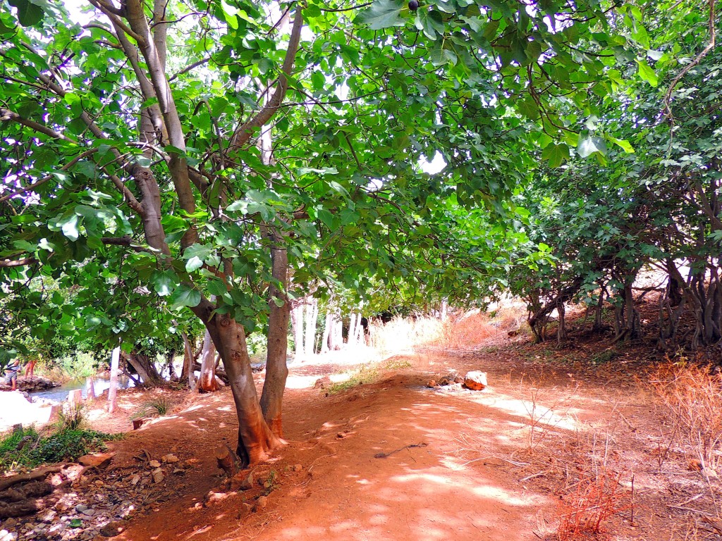 Foto de Riofrio (Granada), España